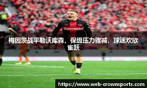 梅因茨战平勒沃库森，保级压力骤减，球迷欢欣雀跃